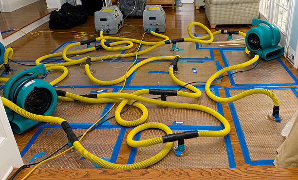 Professional Water Extraction technician working in West Olive, MI